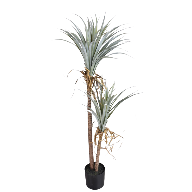 Dragon Blood Yucca Artificial  - Dracaena Marginata review and price