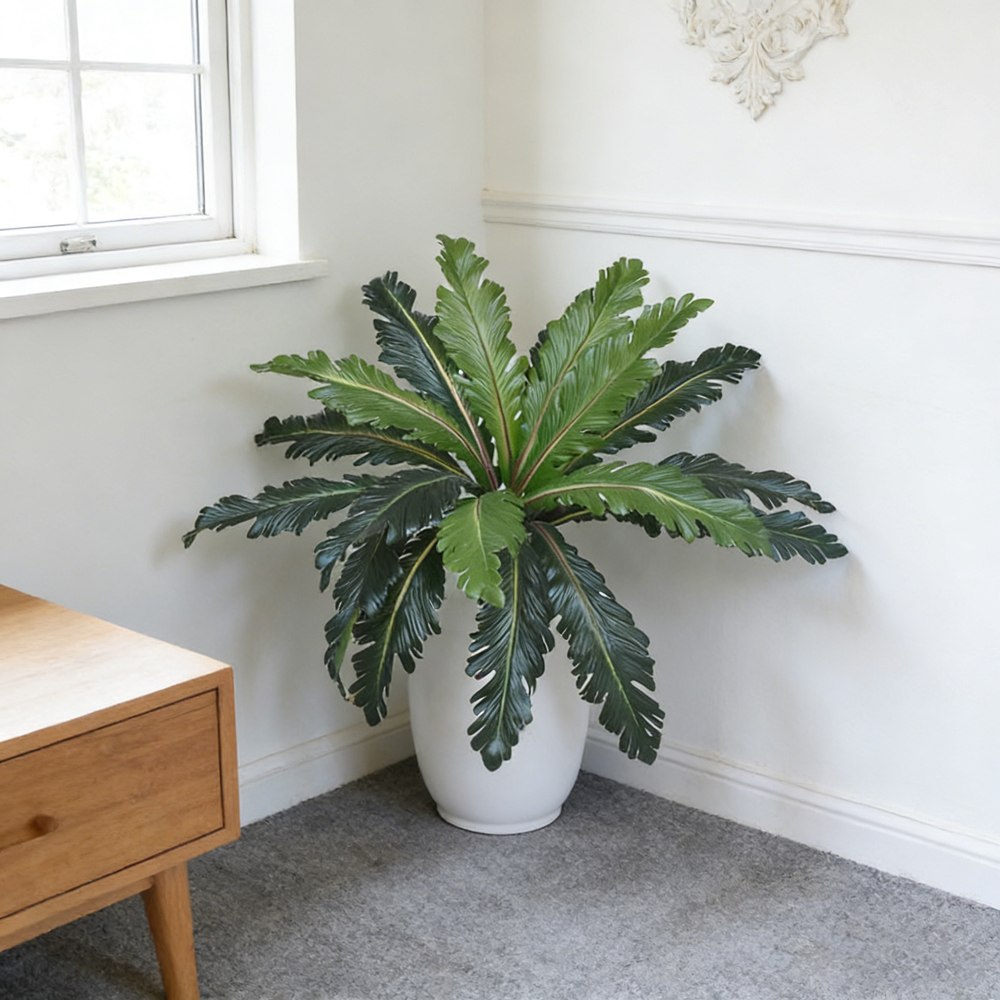 45-50cm Tropical Fake Persian  - Dracaena Marginata review and price