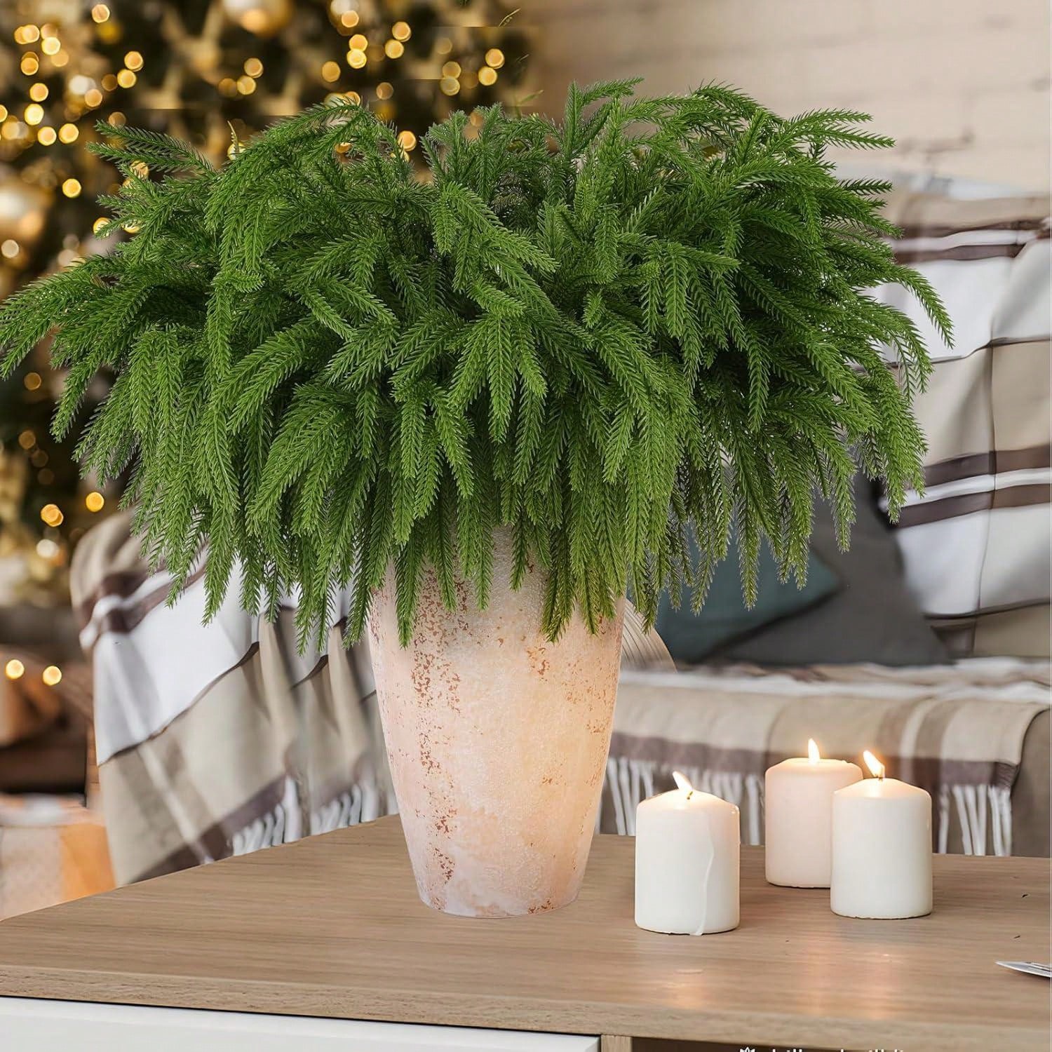 Christmas Norfolk Branches Rea - Dracaena Marginata review and price