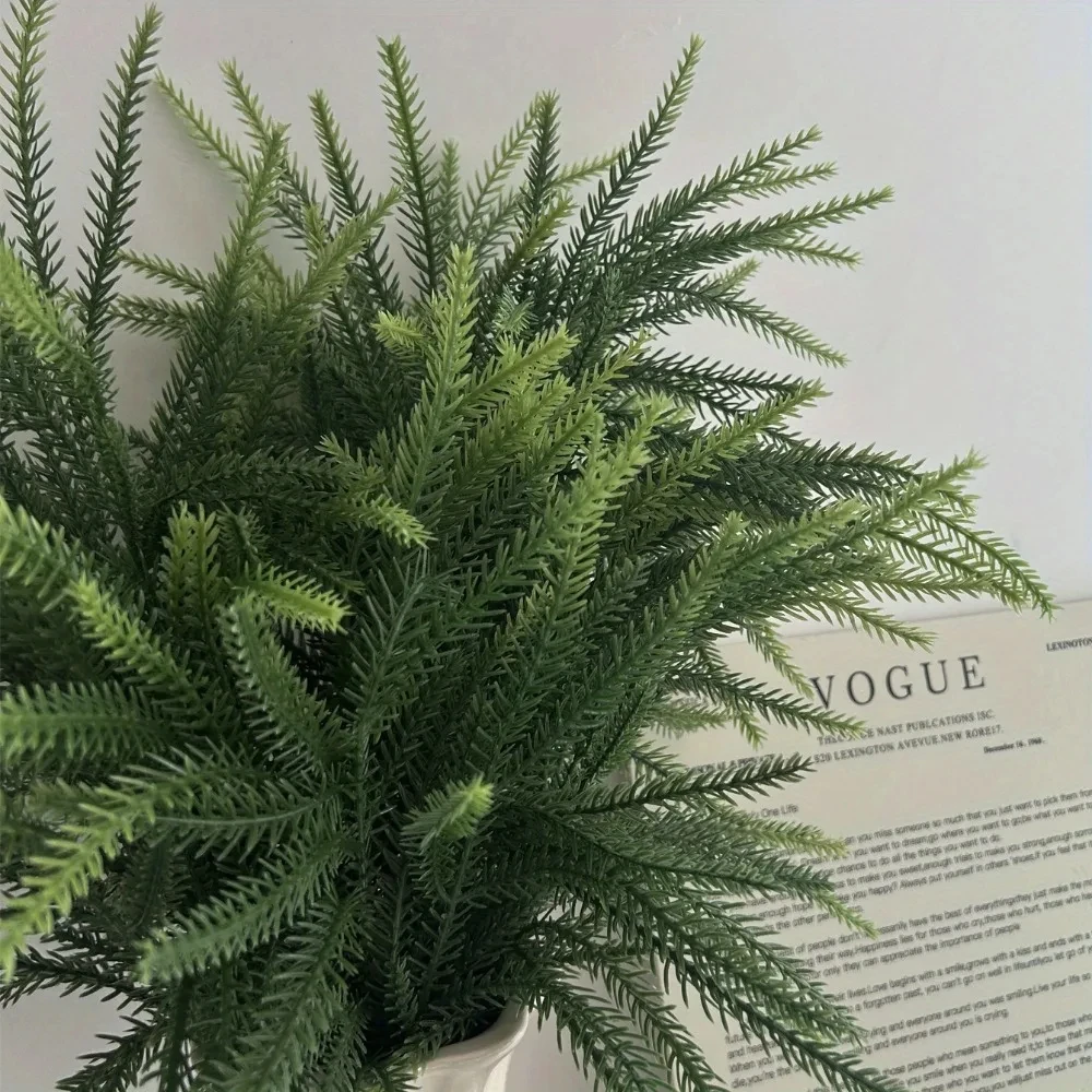 Christmas Norfolk Branches Rea - Dracaena Marginata review and price
